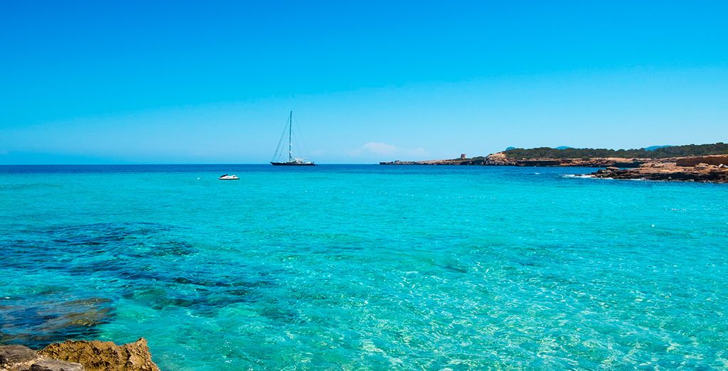 MiM Ibiza - Solo adultos