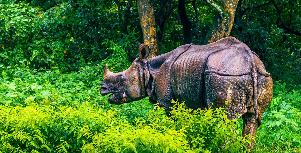 Inolvidable Nepal