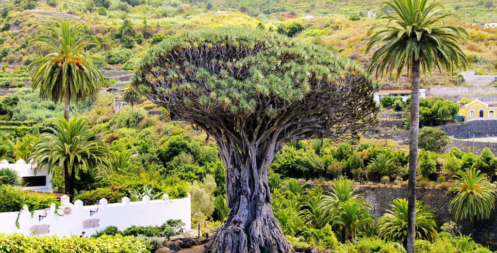 The Ritz-Carlton Abama 5*