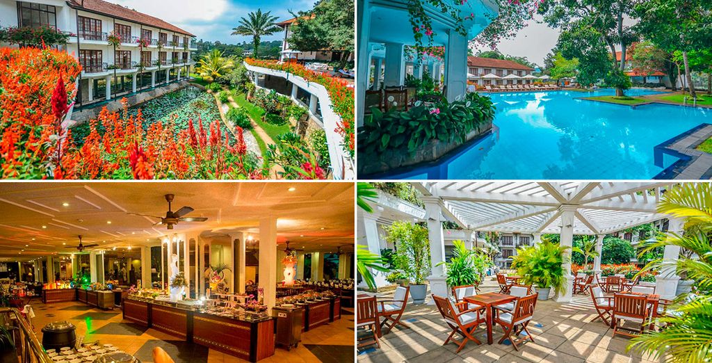 Ceylán - La Perla del Índico