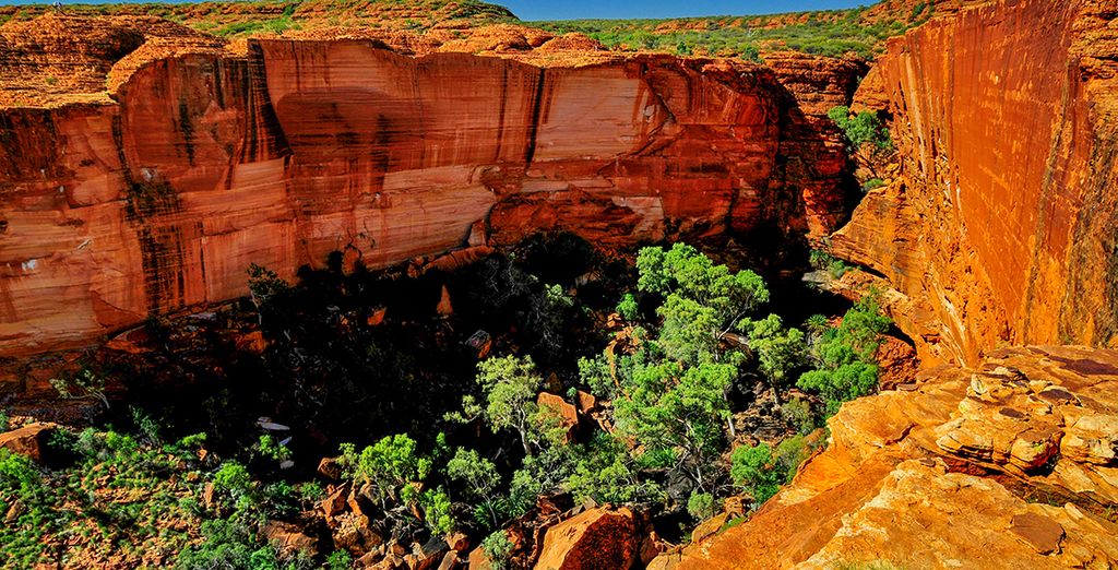 Explorando Australia con extensión opcional a Melbourne
