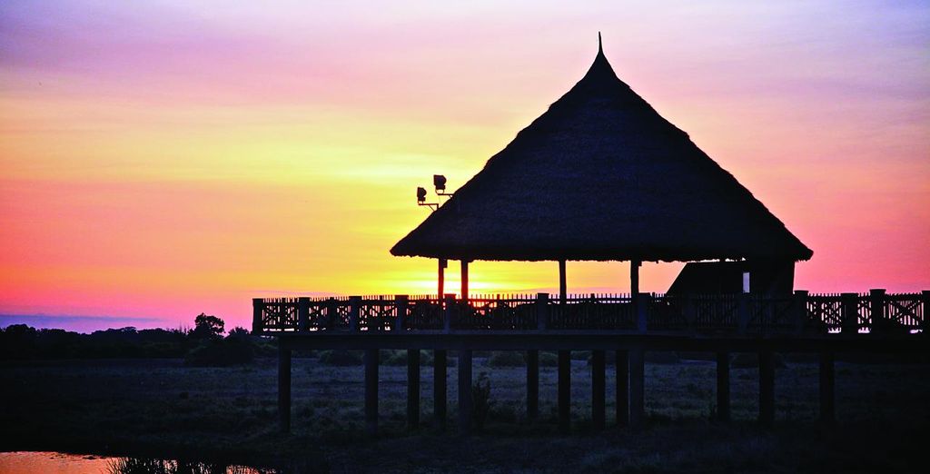 Severin Sea Lodge 4* y Safari 