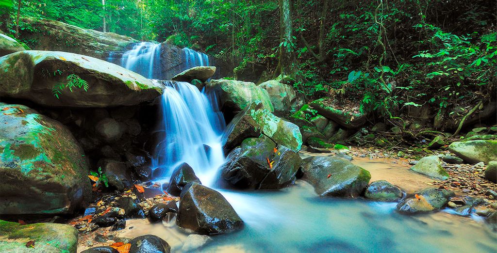 Navegando hacia Borneo