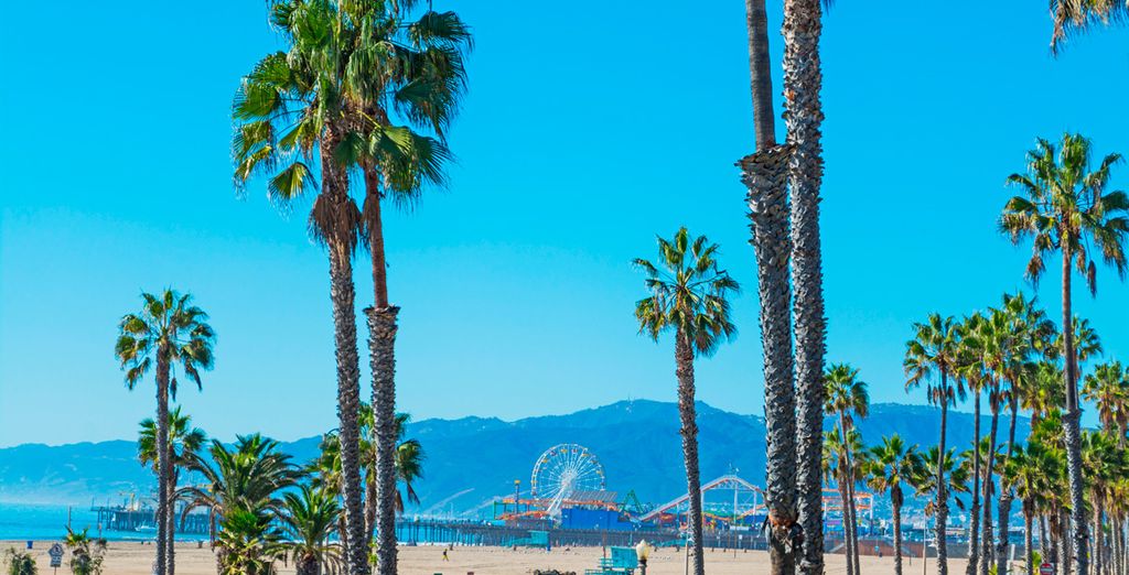 Hilton San Francisco Union Square 4* y Marina Del Rey Hotel 4*