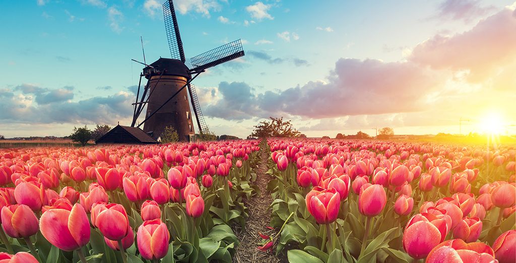 Viajes por los Países Bajos