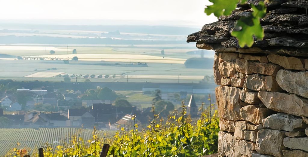 Le Domaine du Roncemay 4* - Bourgogne - Jusqu'à -70% | Voyage Privé