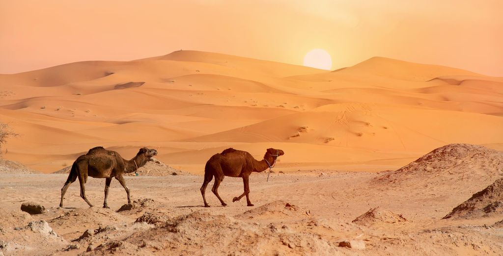 Circuit en groupe : Les trésors du Maroc, excursions en 4x4