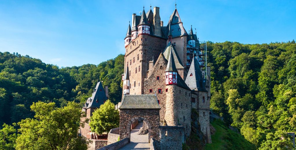 Croisière La Vallée du Rhin romantique