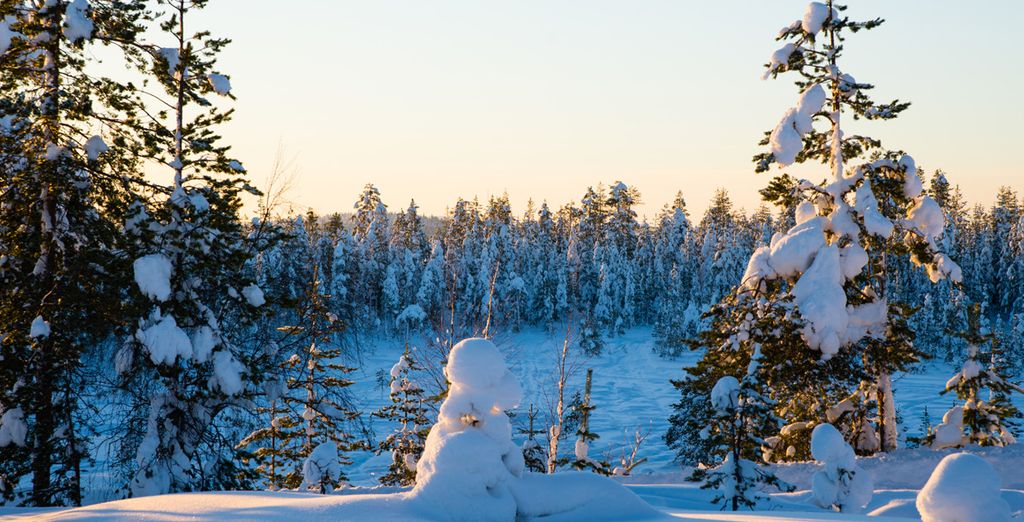Arctic City Hotel Rovaniemi 4*