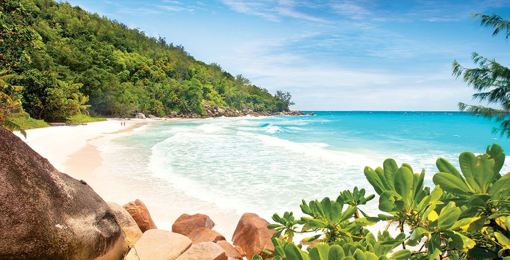 Avis Croisière aux Seychelles "Le Jardin d