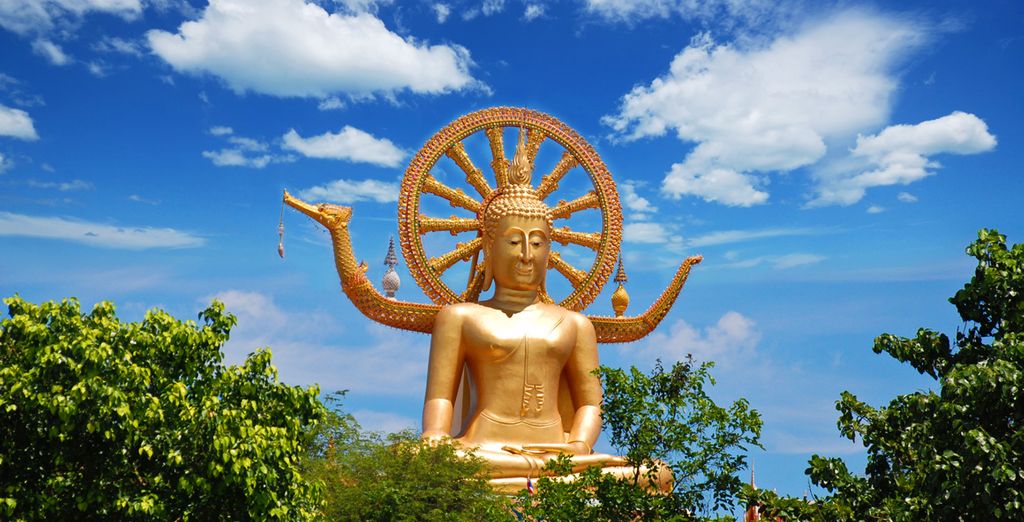  Mimosa Resort & Spa 4*
