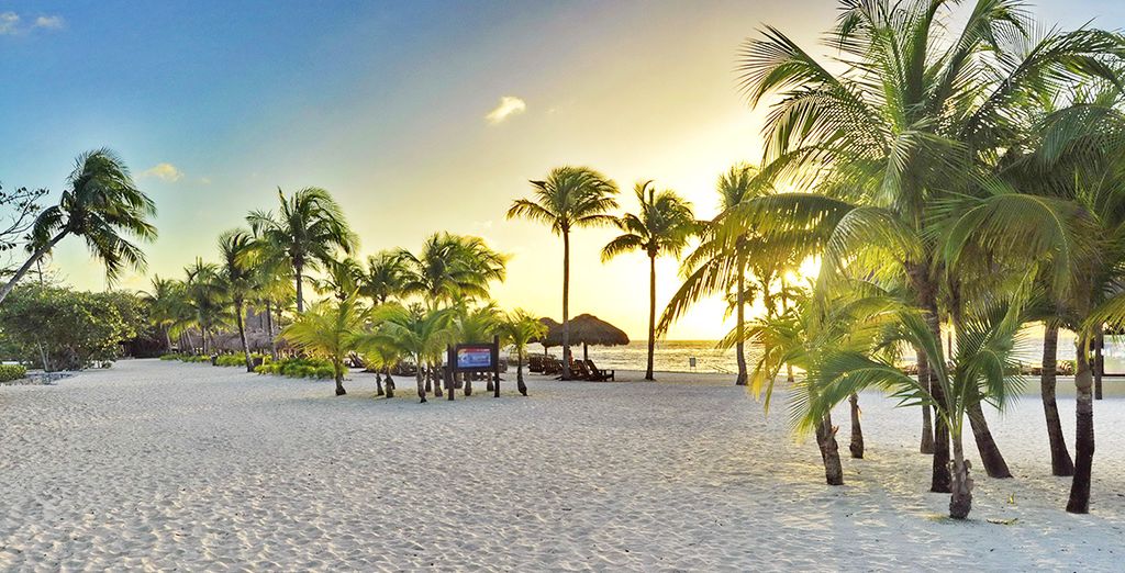 Séjour à Playa Del Carmen