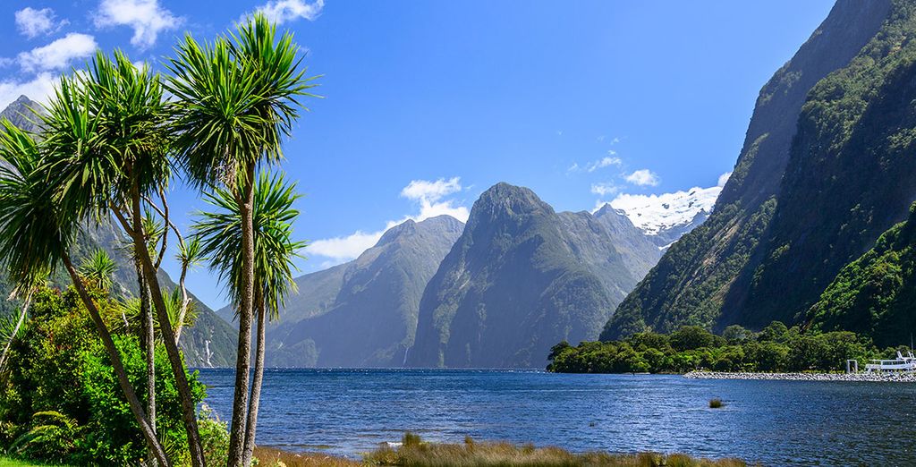 Autotour en Nouvelle-Zélande : Auckland