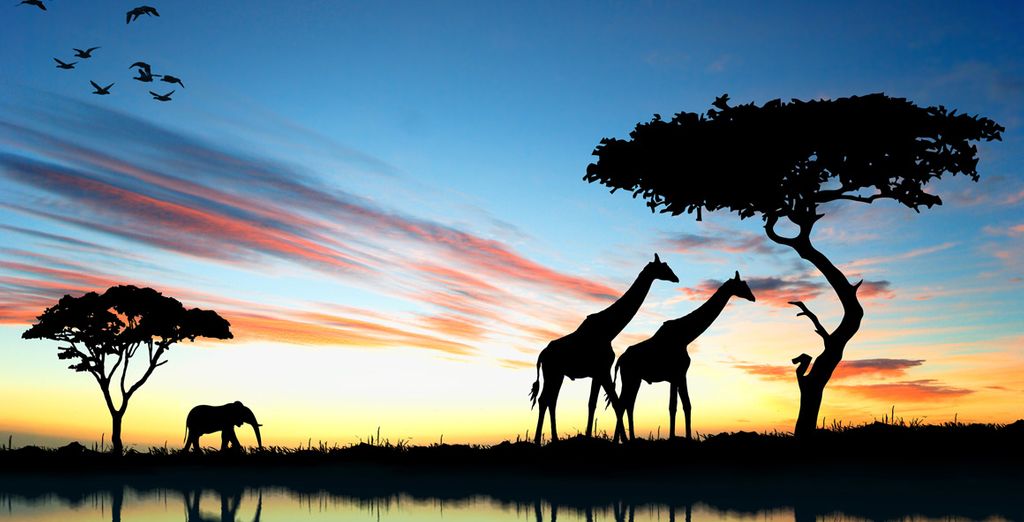 Circuit découverte du Kenya