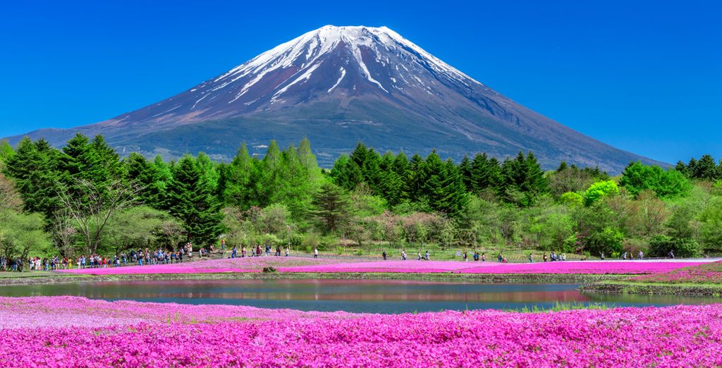 Le Japon entre villes et campagnes