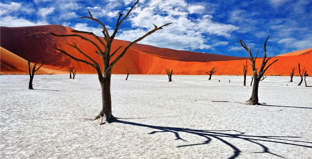 Autotour Namibie en 8 nuits
