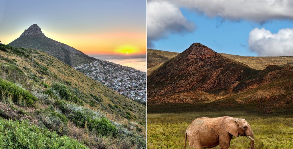 Séjour Safari en Réserve Privée 5 nuits ou Séjour Safari en Réserve Privée 5 nuits avec séjour libre à Cape Town 3 nuits