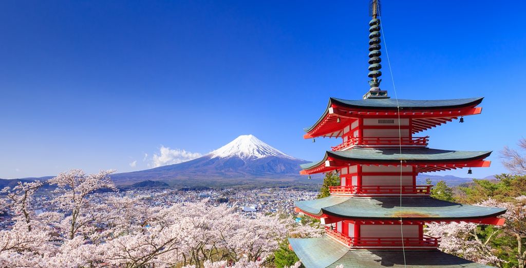 Circuit Printemps japonais 3 ou 4* en 8, 11 ou 14 nuits