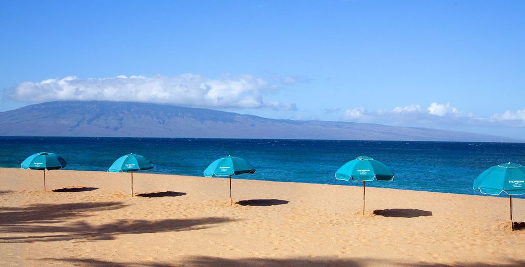 Combiné Marina Del Rey et The Westin Maui 4*