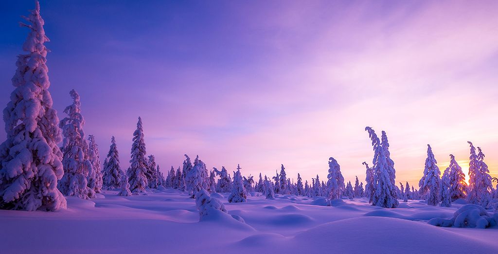 Séjour découverte des merveilles de la Finlande 5 jours / 4 nuits | Voyage Privé