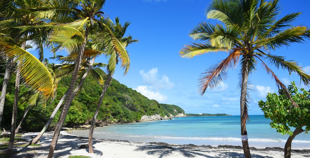 Combiné 3 îles Guadeloupe, Marie Galante et les Saintes - Pointe-à-Pitre -  Jusqu'à -70% | Voyage Privé