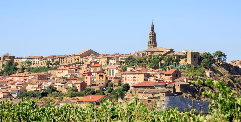 Paesaggi Rioja