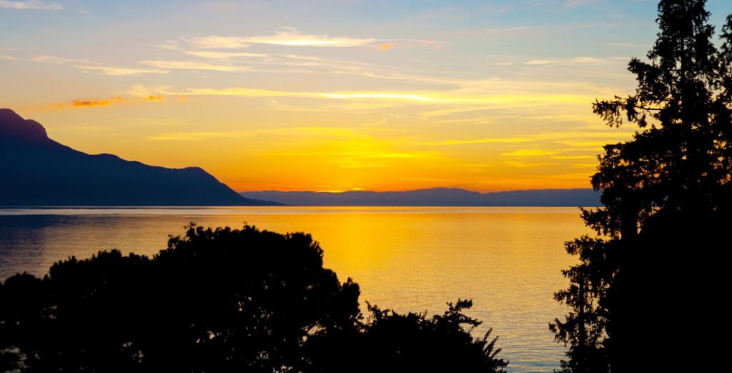 Suisse Majestic 4*