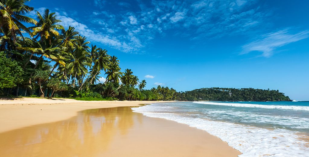 Tour privato dello Sri Lanka da Jaffna a Wadduwa
