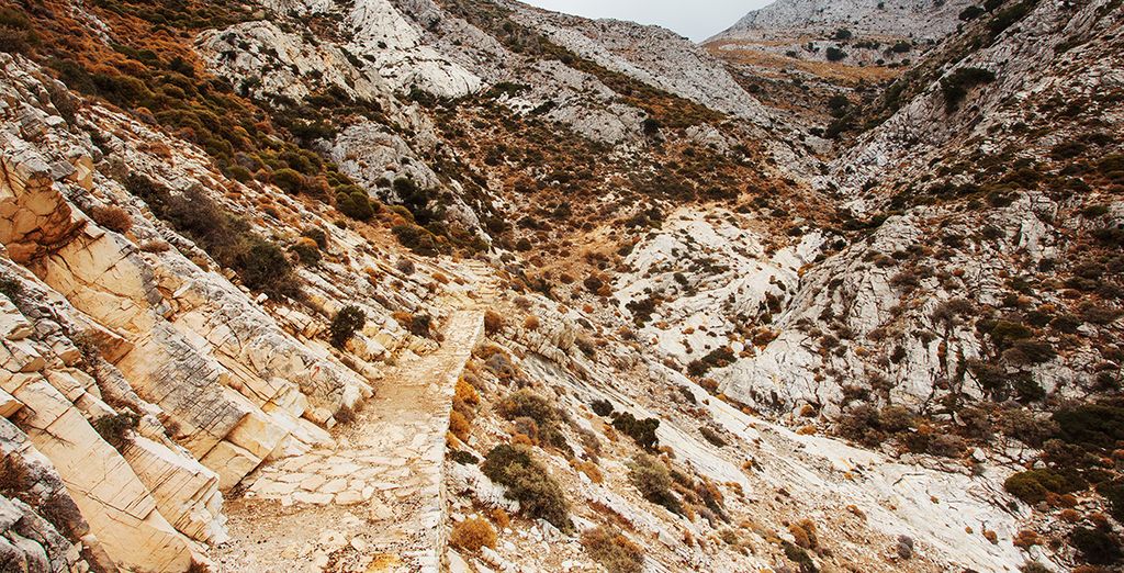 Naxian Collection