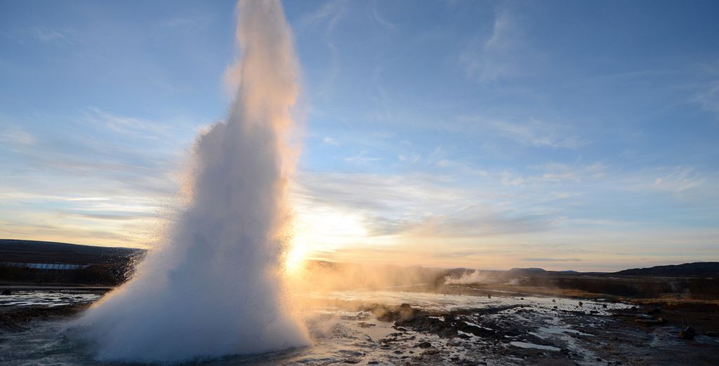 Hotel Island Reykjavik con escursione alla scoperta dell'aurora boreale