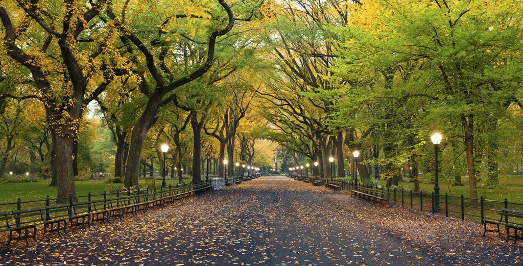 Wyndham Garden Hotel Manhattan Chelsea West 4*