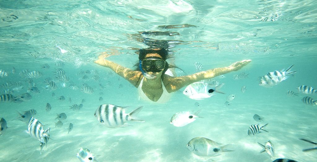 Village Club Med La Plantation d'Albion