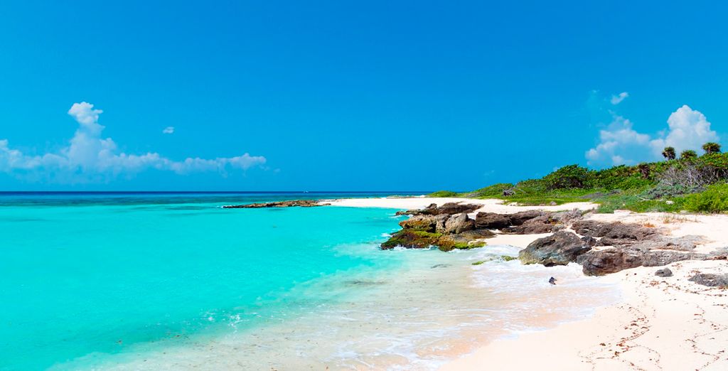 Hard Rock Hotel Riviera Maya 5*