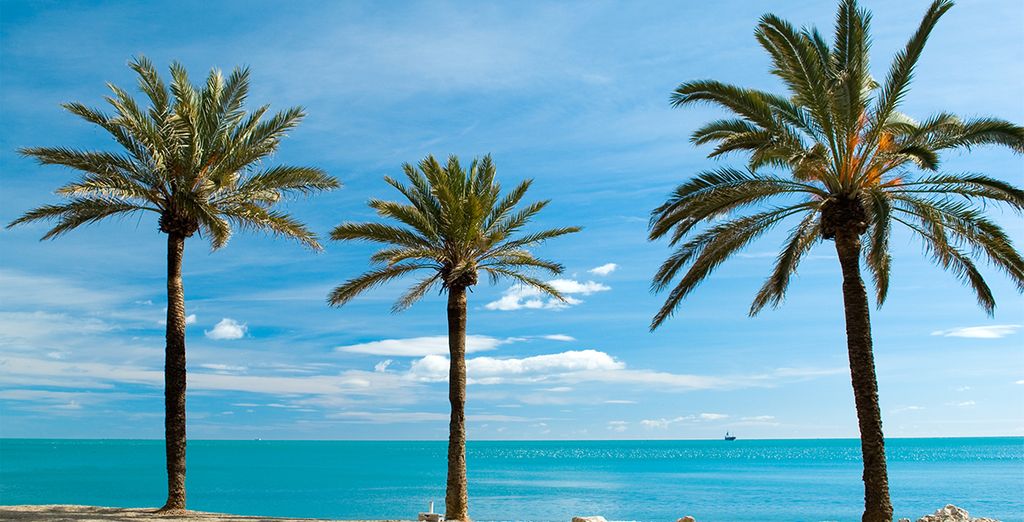 Autotour Andalusia con partenza da Malaga con possibilità di soggiorno mare
