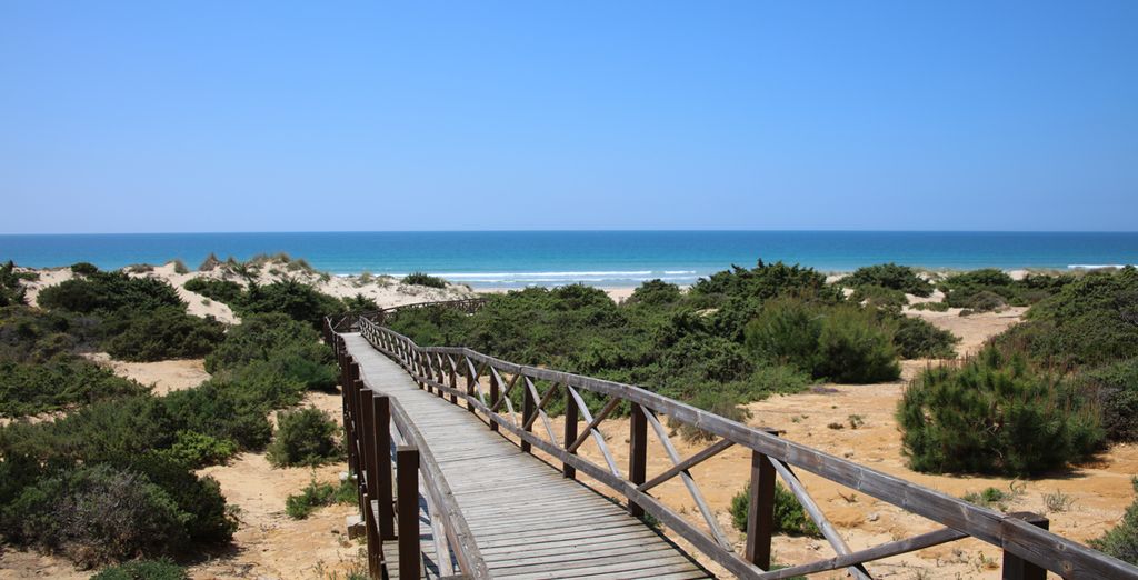 Hotel IBEROSTAR Andalucía Playa 5*
