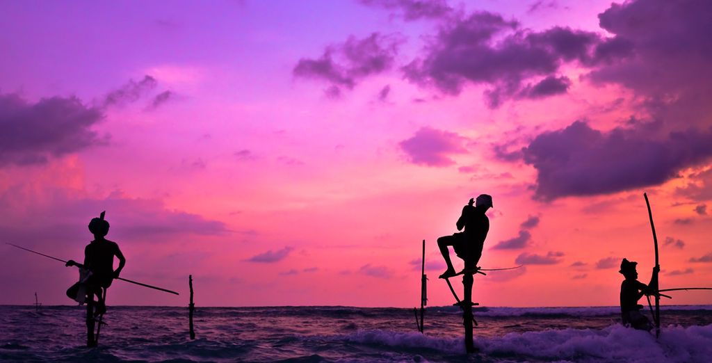 Tour dello Sri Lanka e estensione mare in 4* e 5*