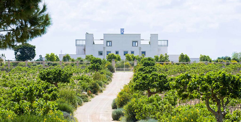Furnirussi Tenuta 5*