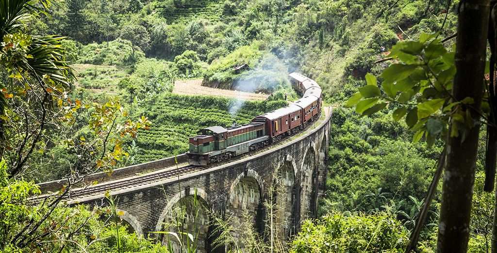Tour privato dello Sri Lanka da Jaffna a Wadduwa
