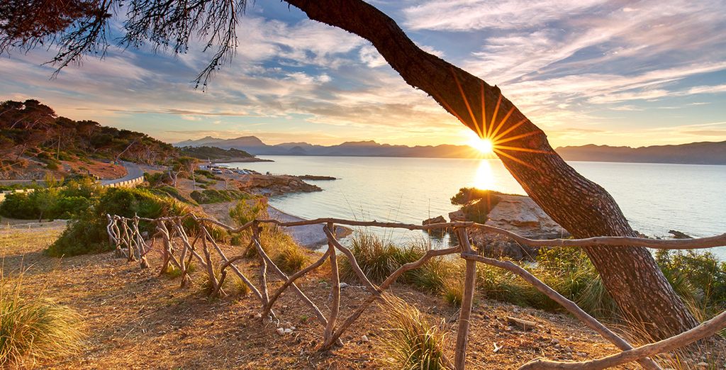 Club Jet Tours Alcudia 4*