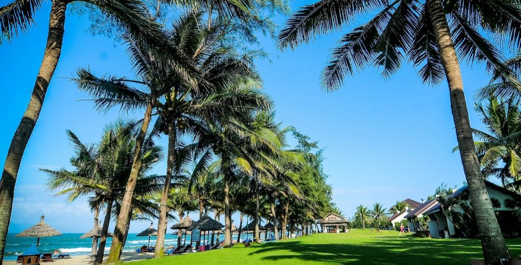 Circuito Vietnam da Nord a Sud - 10 giorni / 9 notti in 5*