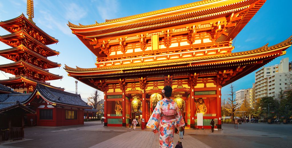 Tour di Tokyo e dei suoi dintorni