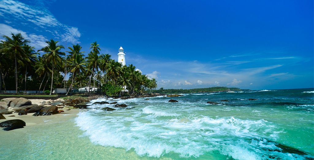 Lo Sri Lanka tra cultura, natura e avventura