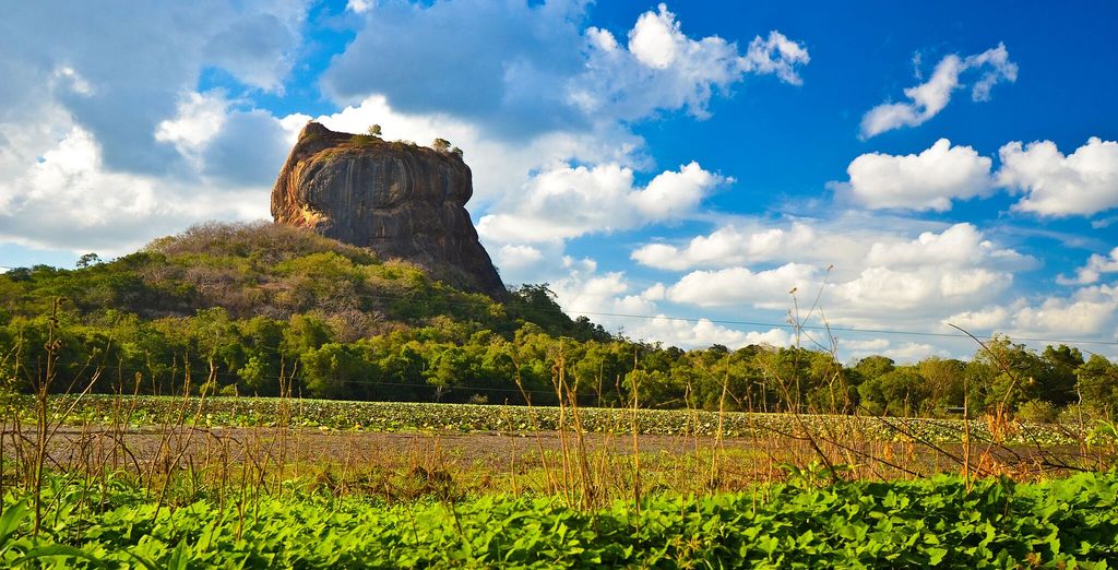 Minitour Colombo, Dambulla, Sigiriya e soggiorno mare a Chilaw