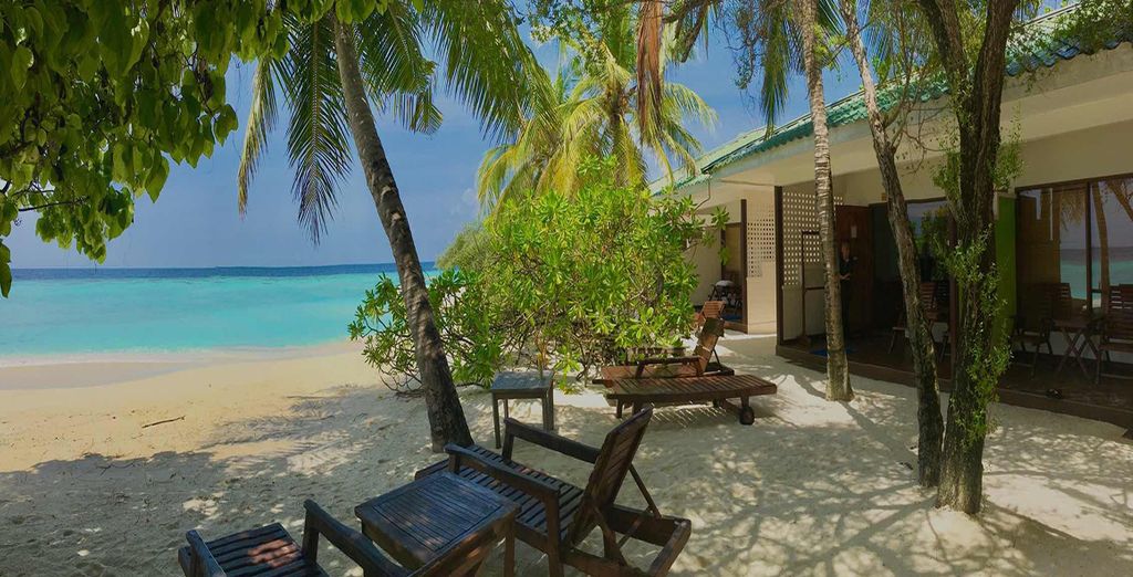 Tour privato dello Sri Lanka e soggiorno alle Maldive