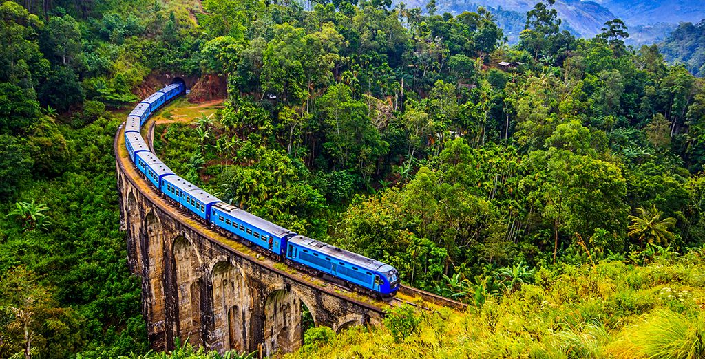 Tour privato alla scoperta delle meraviglie naturali dello Sri Lanka