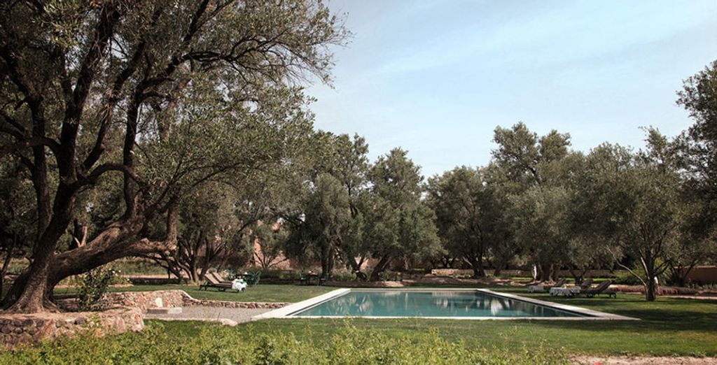 Riad Ysalis & Berber Lodge, da Marrakech alla Valle dell'Ourika