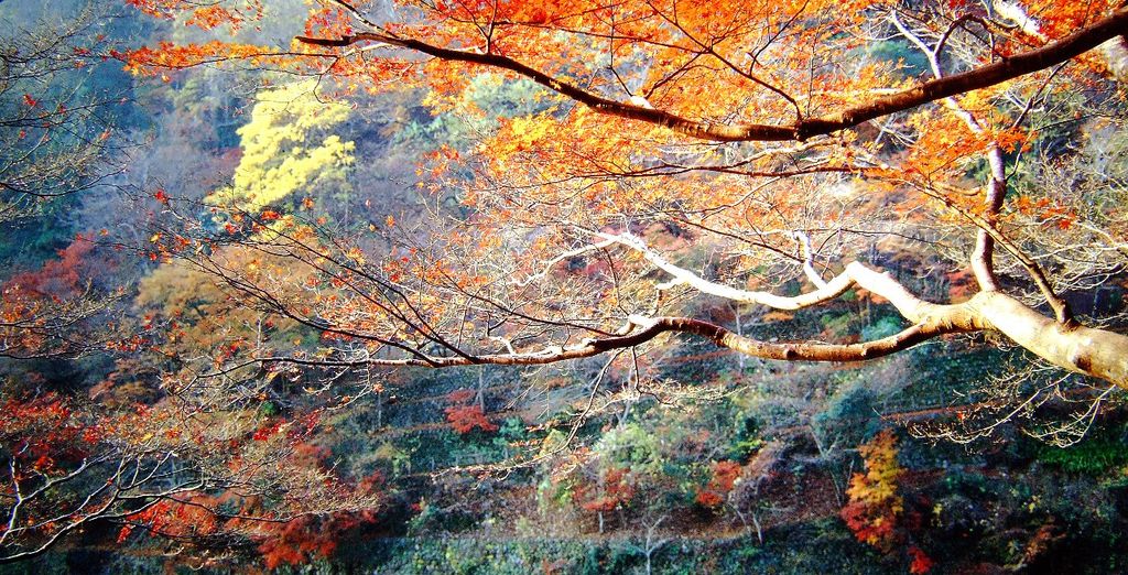Tour Giappone Classico con Estensione Onsen e Vita Rurale