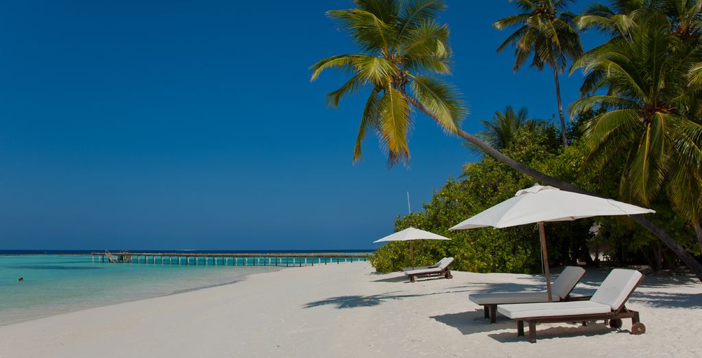 Tour dello Sri Lanka + Vakarufalhi Island Resort 5*