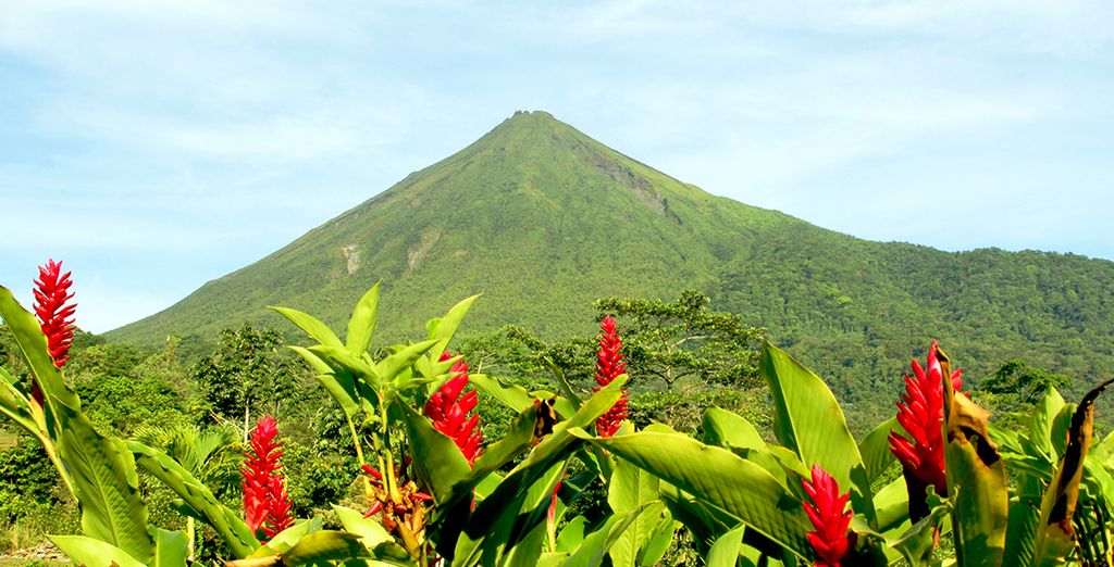 Tour 10 o 12 notti in Costa Rica + Nicaragua con noleggio auto 