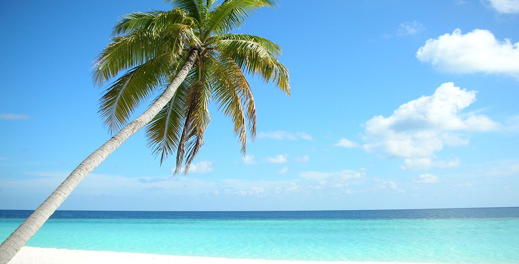 Hard Rock Hotel Maldives 5*